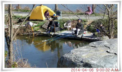 충남 아산 월선낚시터 4월 6일자 조황정보