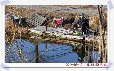 충남 아산 월선낚시터 3월 10일자 조황정보