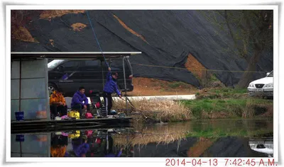 충남 아산 월선낚시터 4월 13일자 조황정보