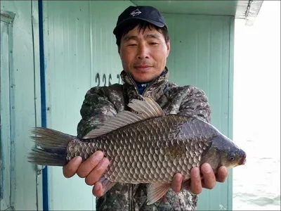 16.04.13 송전지 서울집 조황