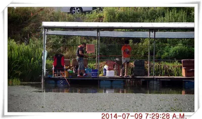 충남 아산 월선낚시터 7월 9일자 조황정보