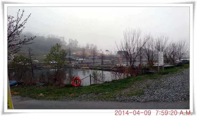 충남 아산 월선낚시터 4월 9일자 조황정보