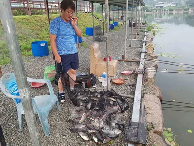 안성  거청낚시터  붕어조황  7월  17 일