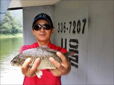 16.07.27 송전지 서울집 조황