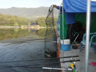 ^^조황소식&수상좌대이벤트^^