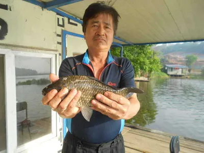 [당진 가교리지 주말조황 화보..]