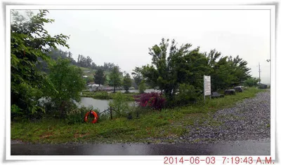 충남 아산 월선낚시터 6월 3일자 조황정보