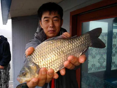 16.09.18 송전지 서울집 조황