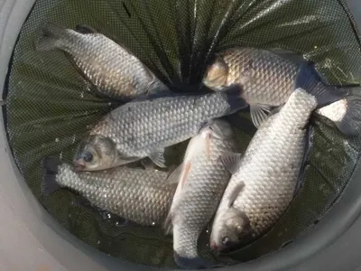 송전지서울집5월29일조황