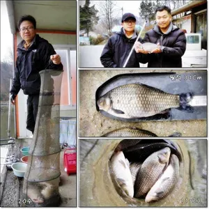 [각평지] 11월 23일 (수) 각평 조황정보