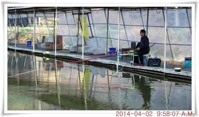 충남 아산 월선낚시터 4월 2일자 조황정보