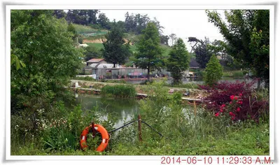 충남 아산 월선낚시터 6월 10일자 조황정보