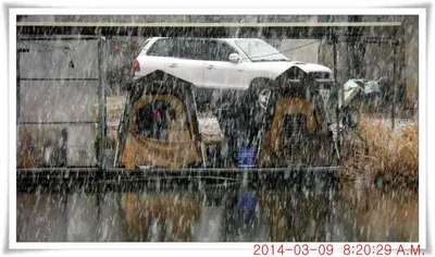 충남 아산 월선낚시터 3월 9일자 조황정보