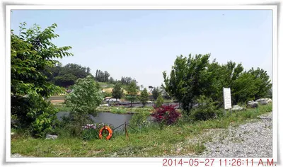 충남 아산 월선낚시터 5월 27일자 조황정보