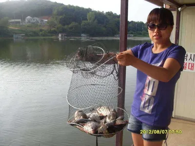 토종붕어 38cm &미녀..