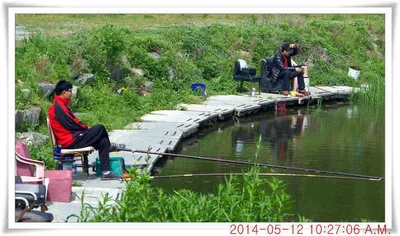 충남 아산 월선낚시터 5월 12일자 조황정보