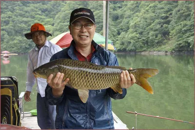 월척붕어와 대물잉어....