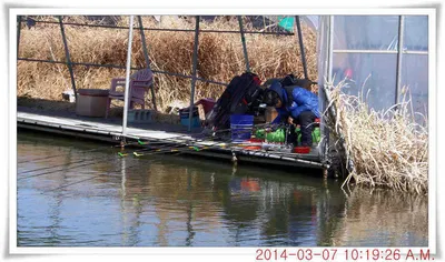 충남 아산 월선낚시터 3월 7일자 조황정보