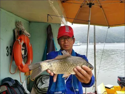 17.08.21 송전지 서울집 조황