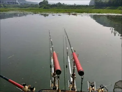 17.07.18 송전지 서울집 조황