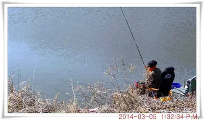 충남 아산 월선낚시터 3월 5일자 조황정보