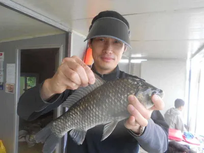 [당진 가교리지 주말 조황정보..]