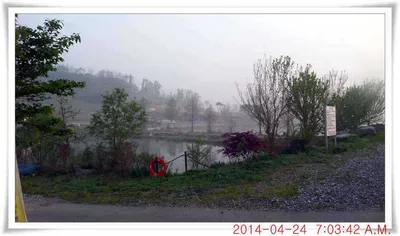 충남 아산 월선낚시터 4월 24일자 조황정보