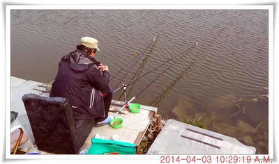 충남 아산 월선낚시터 4월 3일자 조황정보