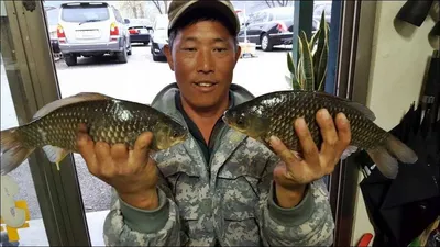 16.04.06 송전지 서울집 이어지는 허리급...