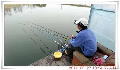 충남 아산 월선낚시터 3월 27일자 조황정보