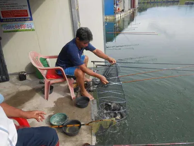 *****실시간 조황사진*****