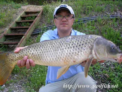 주초호황  주말저조