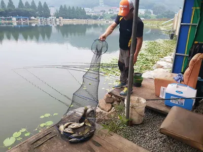 [경기도 안성] 거청낚시터 붕어조황  7월  23일