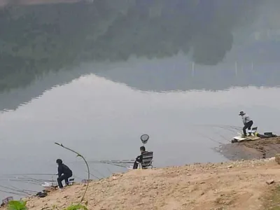 안성 죽산 장계지