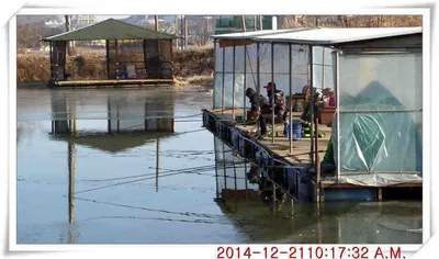 충남 아산 월선낚시터 12월 22일자 스케치