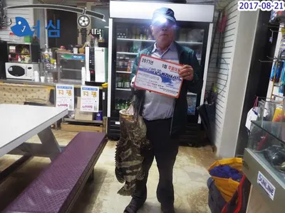 8월 21일 어심바다낚시터 노지 조황