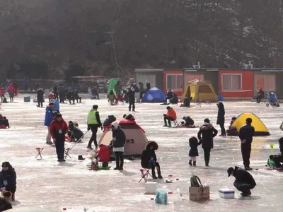 이천빙어축제[각평낚시공원]1월 19일 조황정보