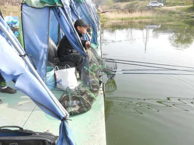 *****실시간 조황사진 입니다*****