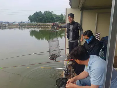 만수위의  거청낚시터 가족낚시터 붕어조황  6월  06