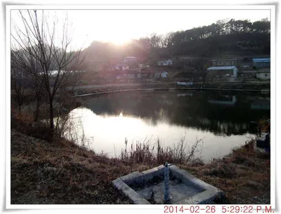 2월 27일자 조황정보