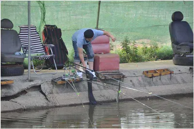 [유일낚시터] 요번주방류 스케줄입니다,~~!