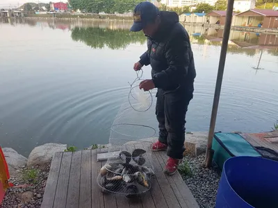 만수위의  거청낚시터 가족낚시터 붕어조황  6월  03