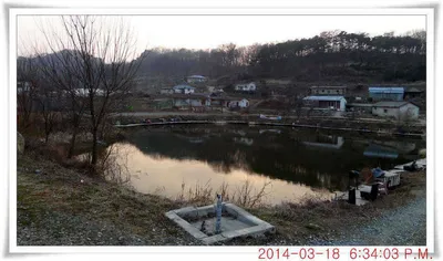 충남 아산 월선낚시터 3월 18일자 조황정보