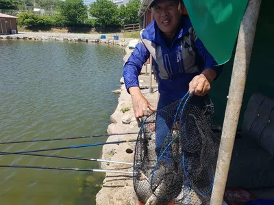 만수위의  거청낚시터  붕어조황  5월  16일