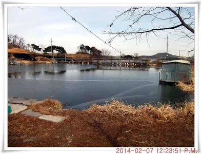 충남 아산 월선낚시터 2월 7일자 조황정보