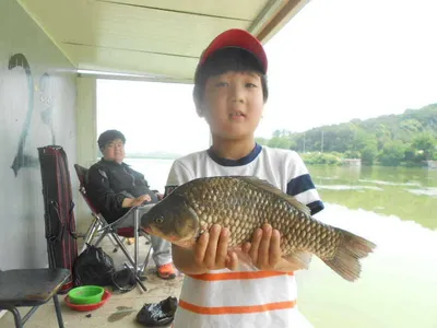 [당진 가교리지] 6월 마지막주 굵은 씨알의 토종 큰 붕어들..