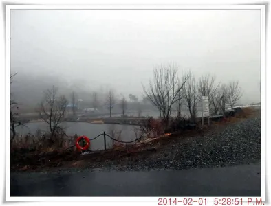 충남 아산 월선낚시터 2월 2일자 조황정보