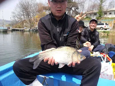 붕어 화수분 영인지