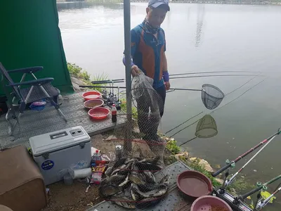 만수위의  거청낚시터 가족낚시터 붕어조황  6월  30