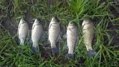 행복낚시터입니다^^